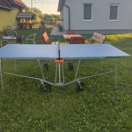 Sueni Ordacsehi