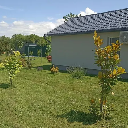 Sueni * Ordacsehi